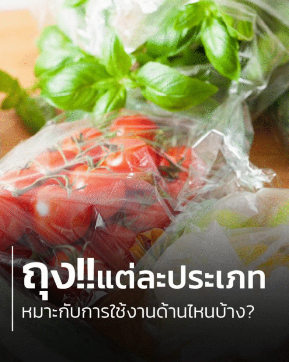 ถุง!! แต่ละประเภท เหมาะกับการใช้งานด้านไหนบ้าง?