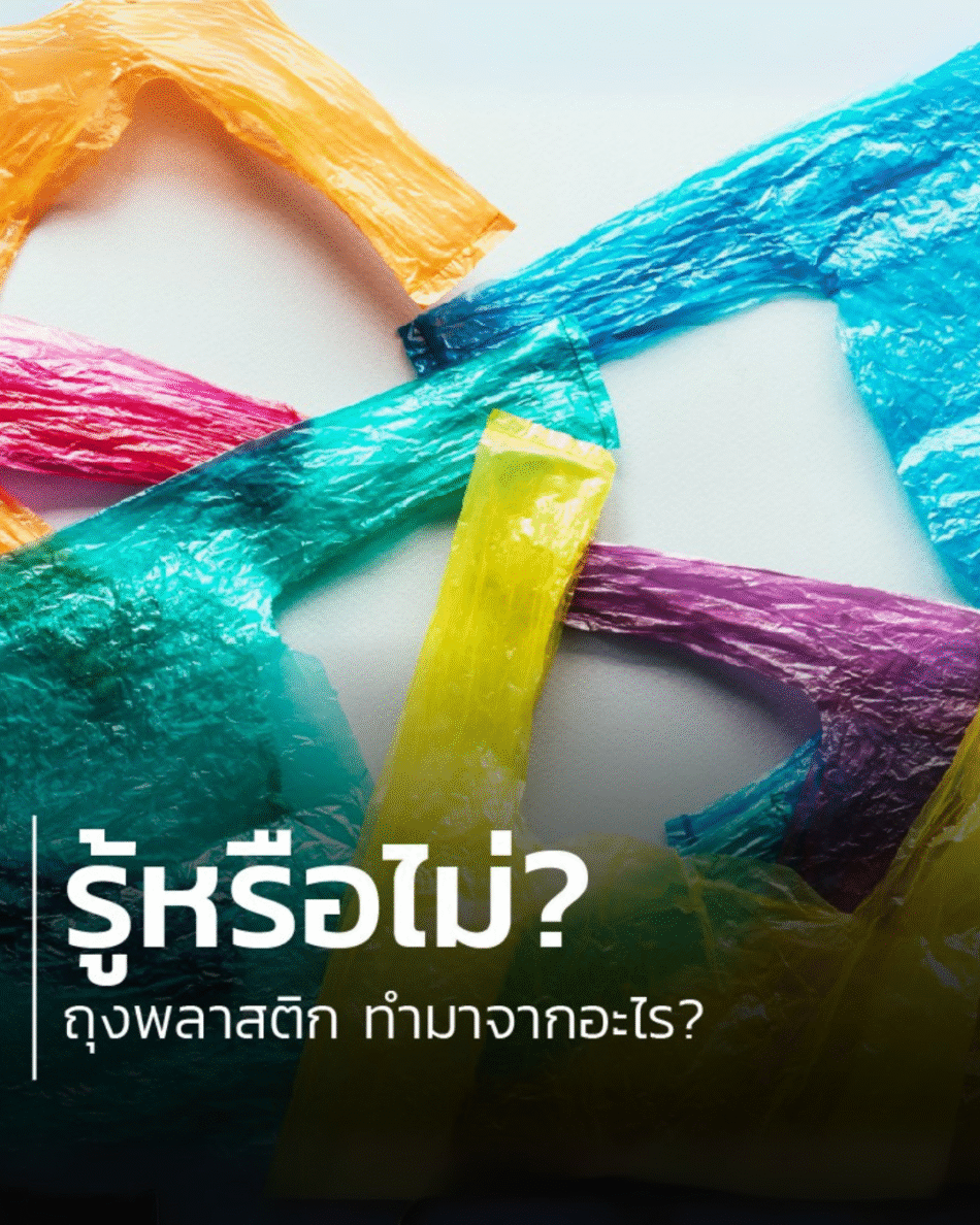รู้หรือไม่? ถุงพลาสติก ทำมาจากอะไร?